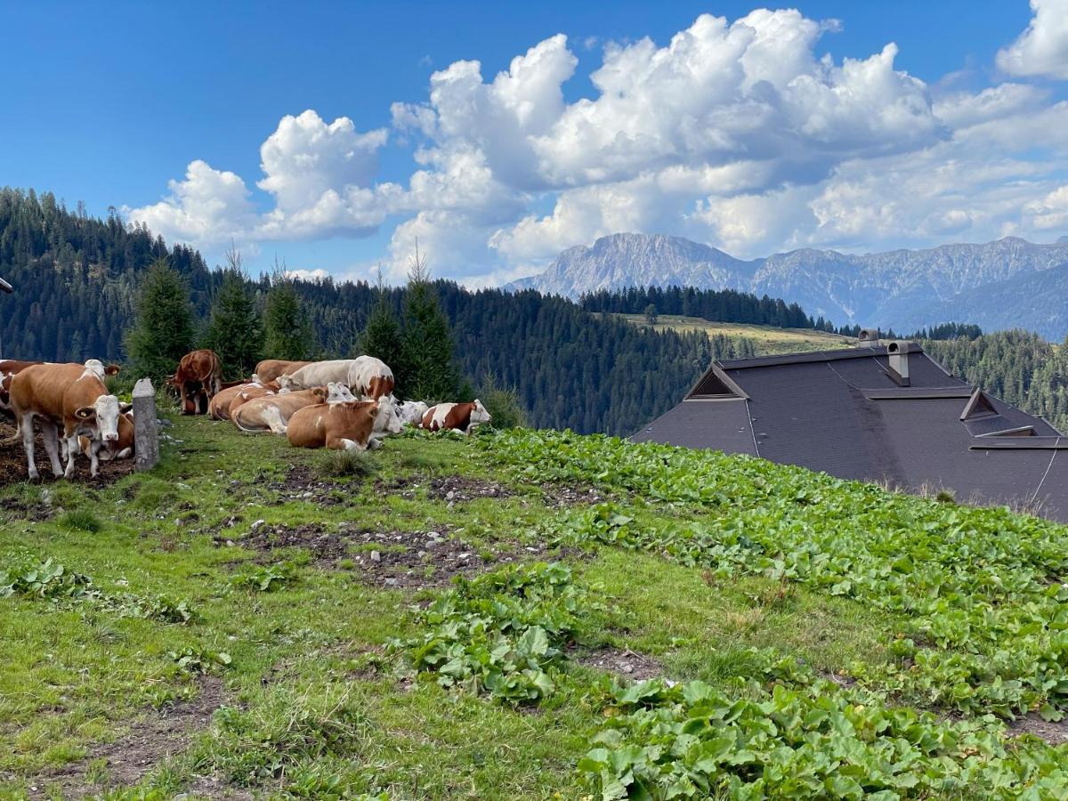 The Mountain Home Hermagor-Pressegger See Extérieur photo